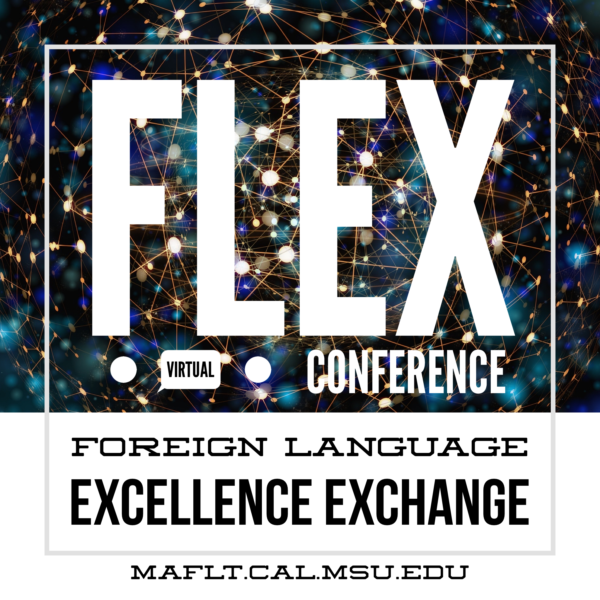 Read more about the article FLEx Virtual Conference