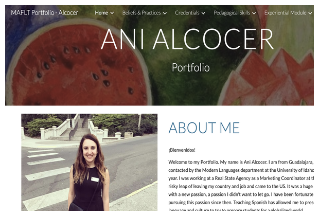 Read more about the article Ani Alcocer