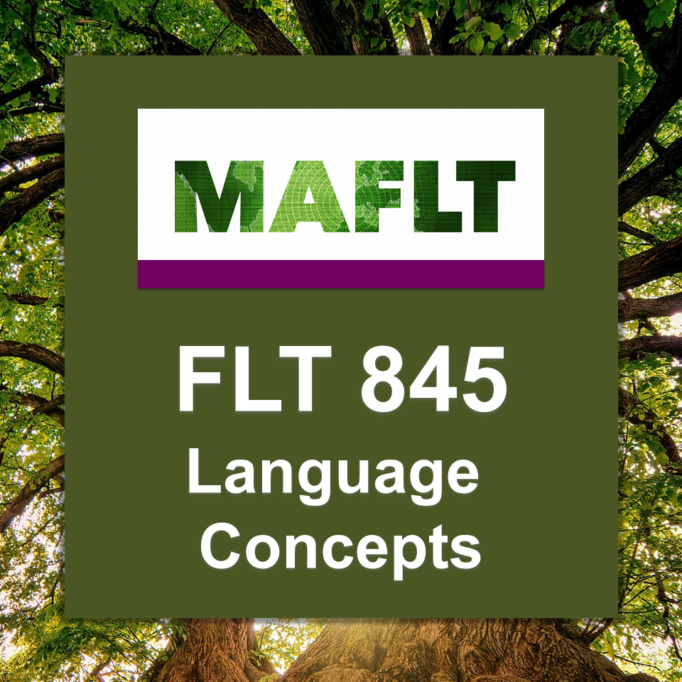 FLT 845 Language Concepts - course logo
