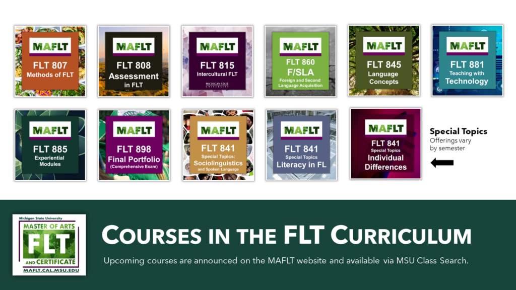 Courses in the FLT curriculum