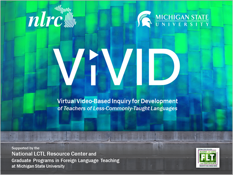 Read more about the article Language Educator VIVID Project Article